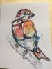 Sparrow