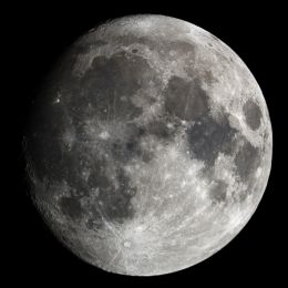 Peri Lune's picture